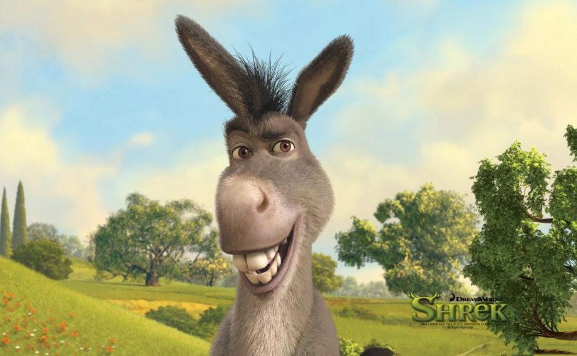 spin-off-burro-shrek-carrusel