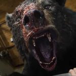Oso intoxicado (Cocaine Bear) – Estreno, trailer y todo sobre la película
