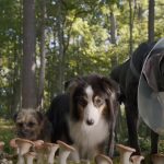 Hijos de perra – Estreno, trailer y todo sobre la película con Will Ferrell y Jamie Foxx