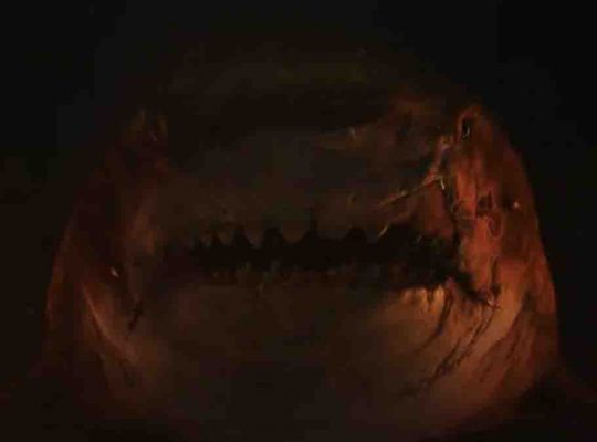Megalodon-2-el-gran-abismo-trailer-estreno