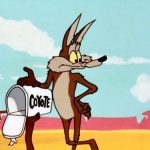 ¿Por qué Warner Bros. enlató la película de Coyote vs Acme?