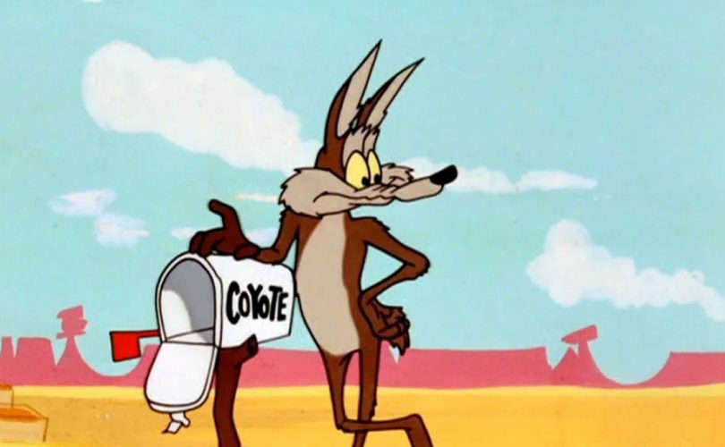Coyote-vs-acme-pelicula