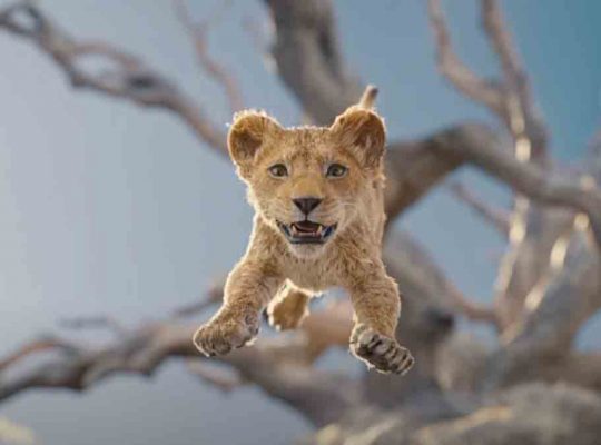 mufasa-el-rey-leon-pelicula-trailer-estreno
