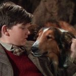 Películas de perros: los mejores de la historia del cine
